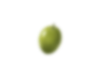 Image is not available